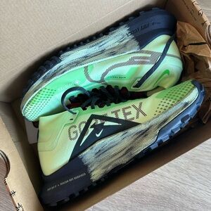 The Nike Pegasus Trail 4 GORE-TEX